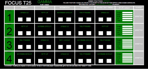 focus-t25-gamma-schedule