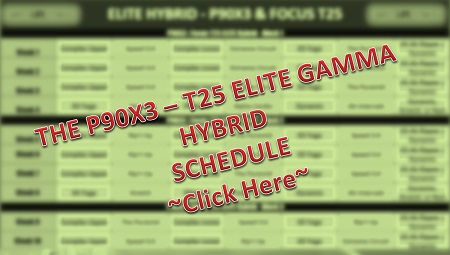 P90X3 T25 Elite Schedule