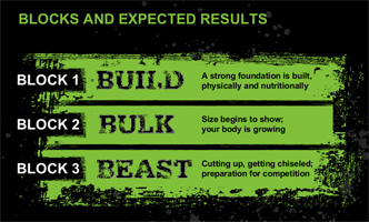 Body Beast Workout Blocks