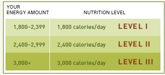 P90X Nutrition Plan Calculator