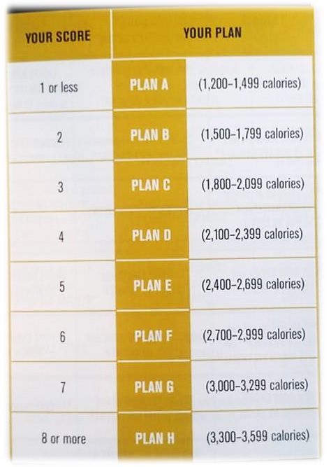 hammer and chisel nutrition plan