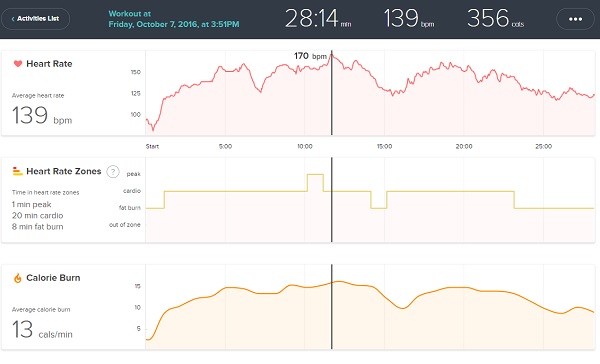 CORE DE FORCE MMA SPEED REVIEW