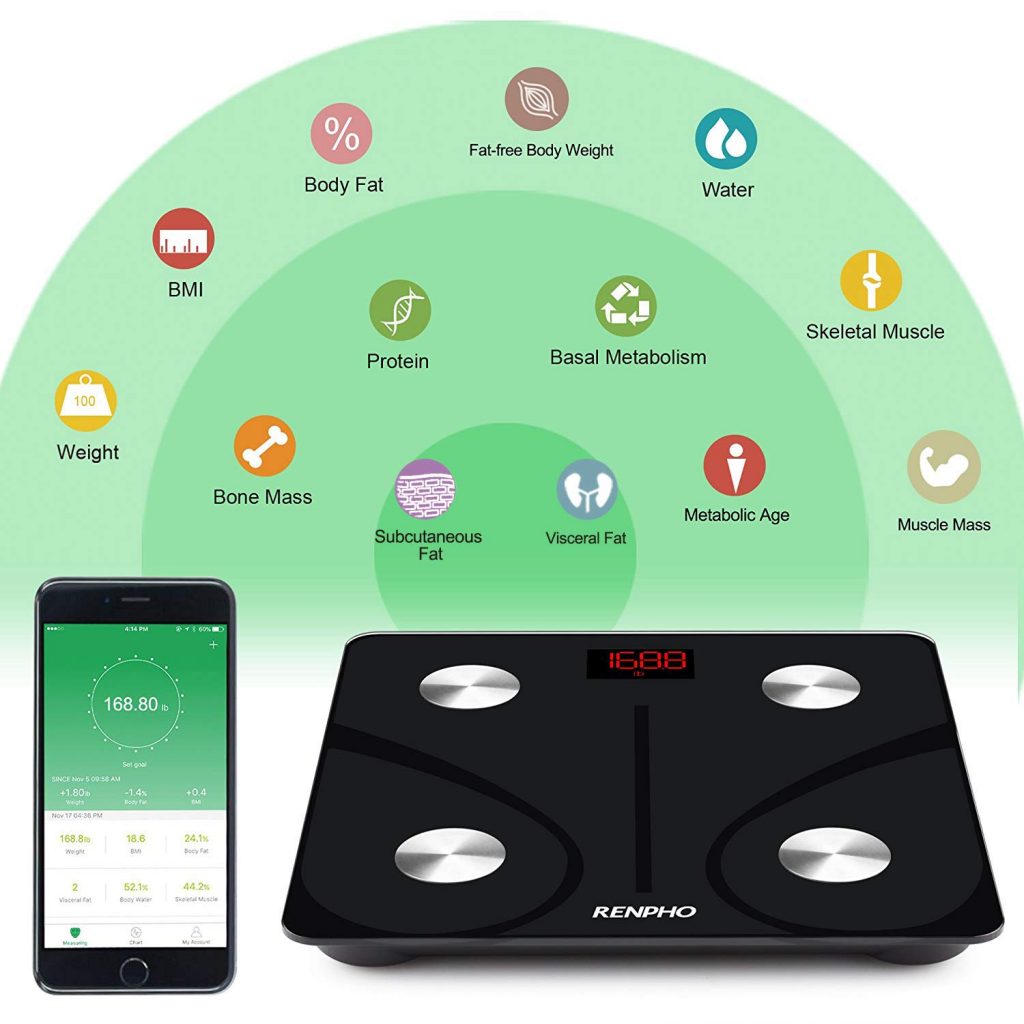 Smart Scale Review: Renpho Smart Body Fat